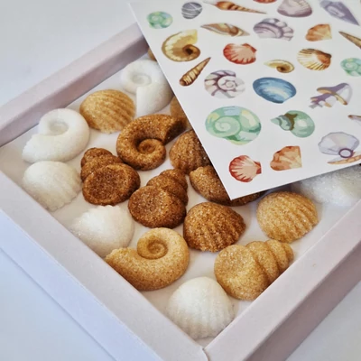 Tengerparti álmok formacukor (csiga és kagyló)