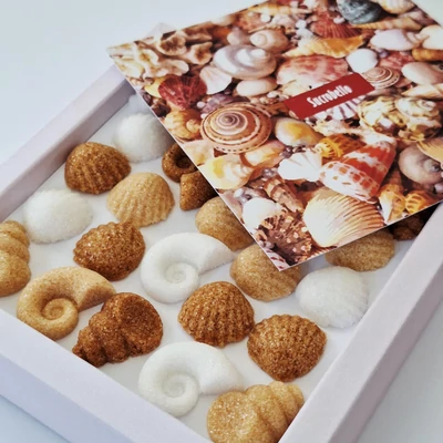 Tengerparti álmok formacukor (csiga és kagyló)